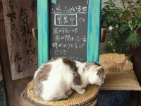 そば屋ねこ