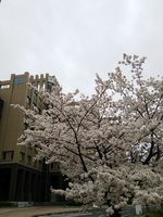 DSC_6364 DSC_6364