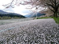 DSC_6367 DSC_6367